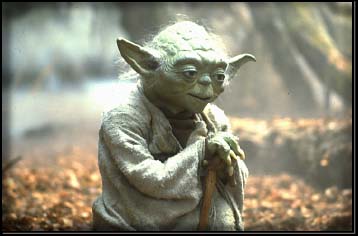 Maitre Yoda